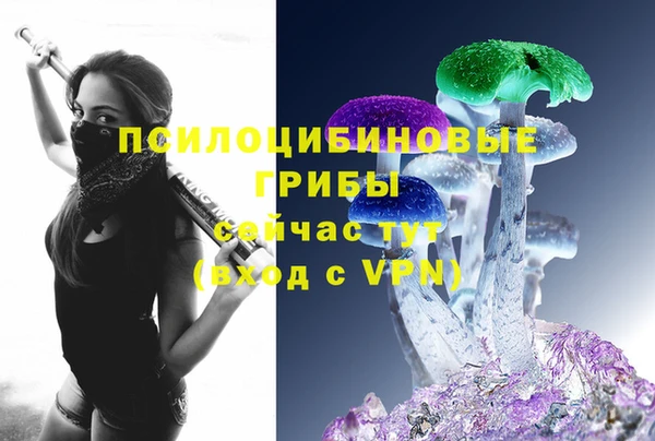 гидра Нязепетровск