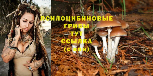 не бодяженный Абдулино