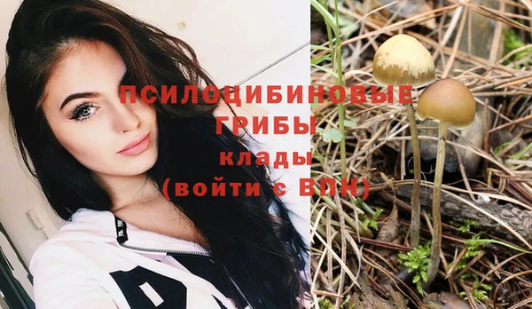 не бодяженный Абдулино